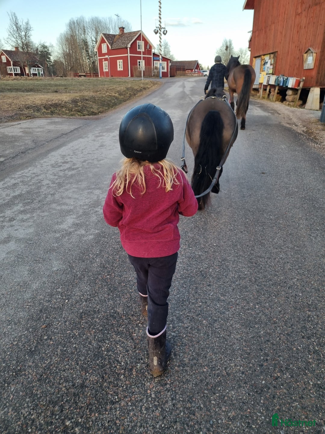 Allround hästar till salu: Allround ponny i Rättvik - Annons 6