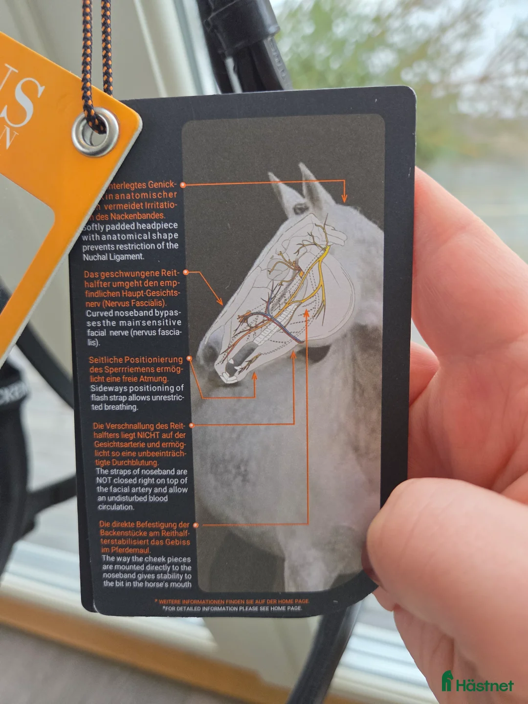 Träns hästutrustning till salu: schockemöhle equitus alpha - Annons 4