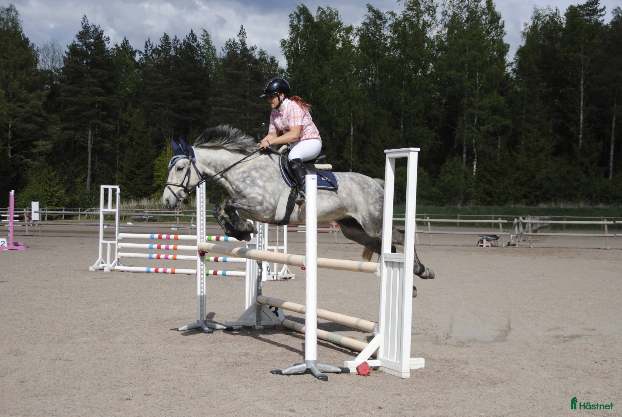  hästar Sportponny - Annons 2