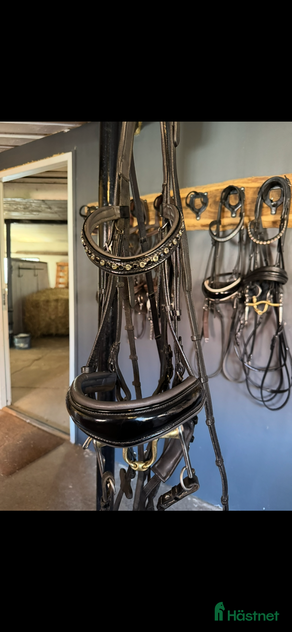 Träns hästutrustning till salu: Nästintill oanvänt kandar i Kristianstad - Annons 17