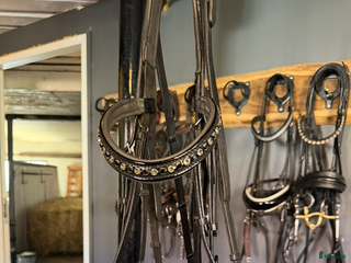 Träns hästutrustning till salu: Nästintill oanvänt kandar i Kristianstad - Annons 1