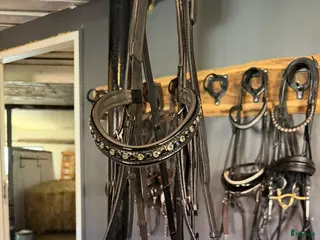 Träns hästutrustning Nästintill oanvänt kandar i Kristianstad - Annons 8