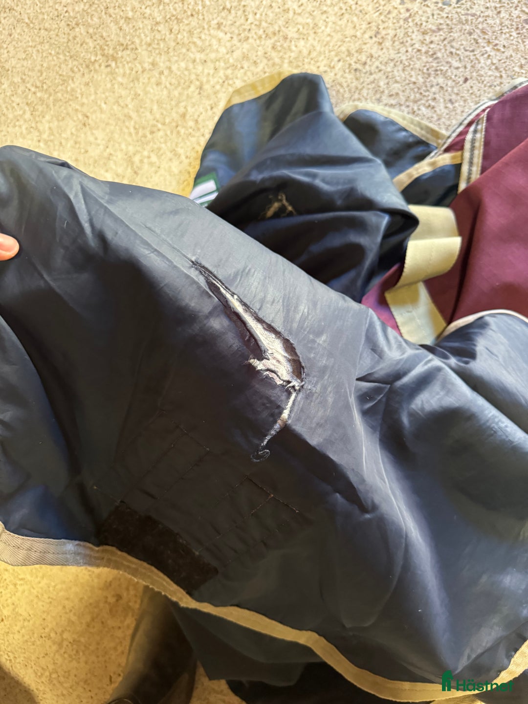 Täcken hästutrustning till salu: Amigo regntäcke 155 i Falun - Annons 3