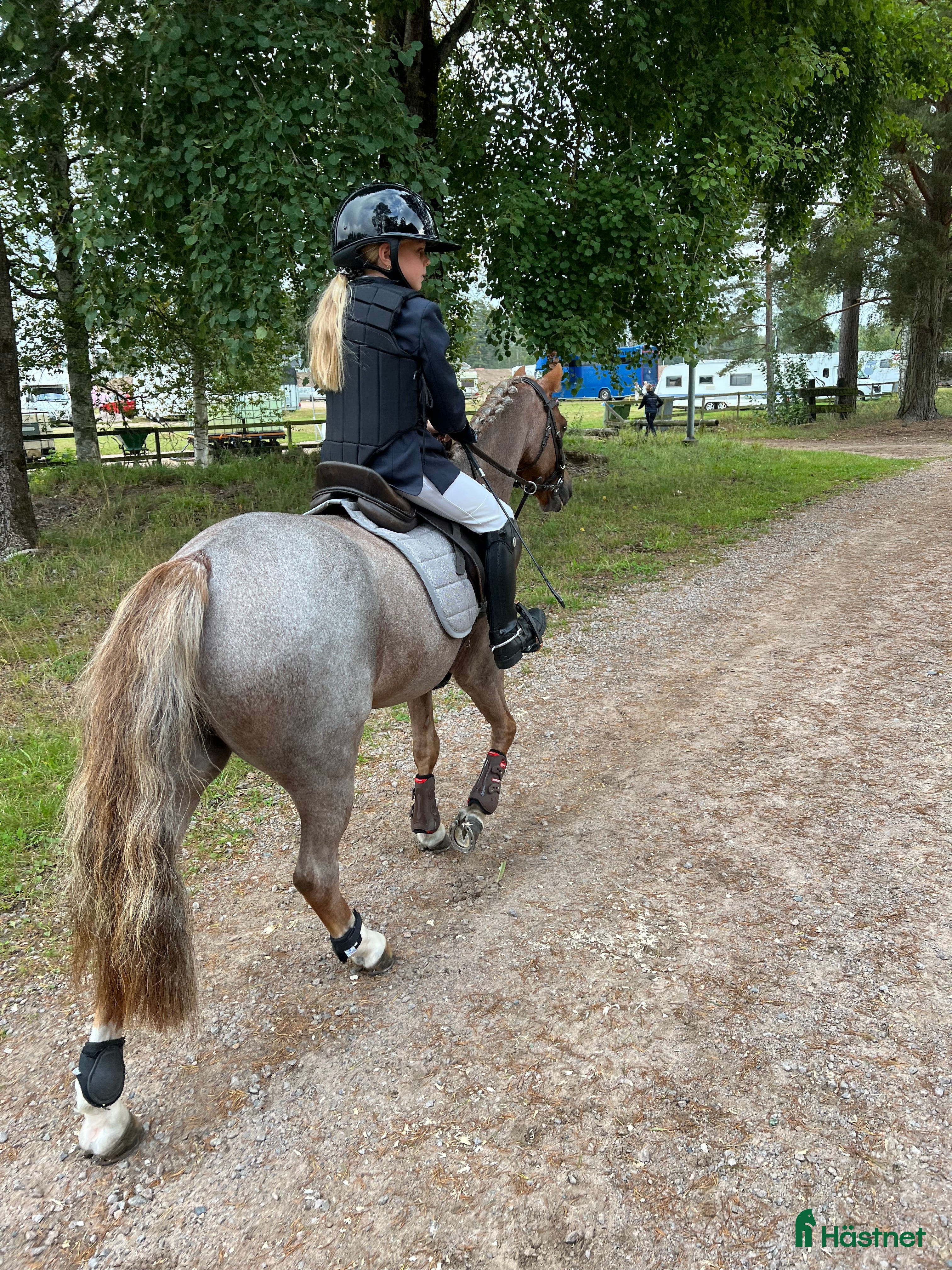  hästar ** B-PONNY LÄROMÄSTARE SÖKES ** - Annons 5