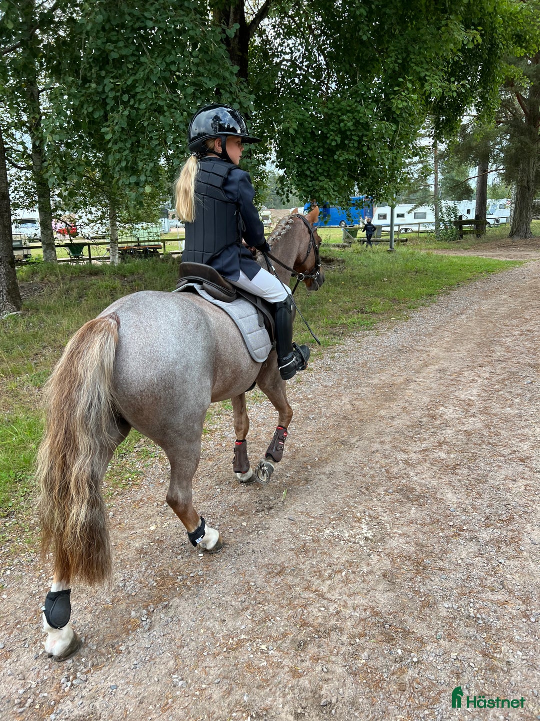 Hoppning hästar sökes: ** B-PONNY LÄROMÄSTARE SÖKES ** - Annons 1