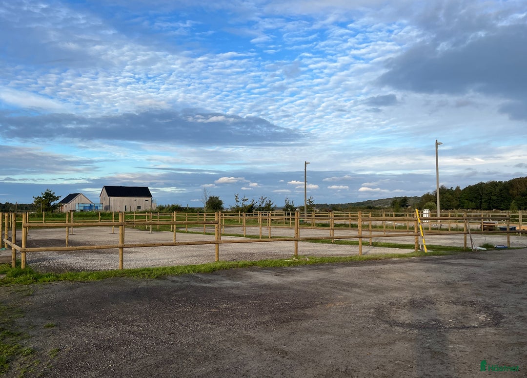  stallplats finnes: Stallplats Åsa / Kungsbacka   i Åsa - Annons 8