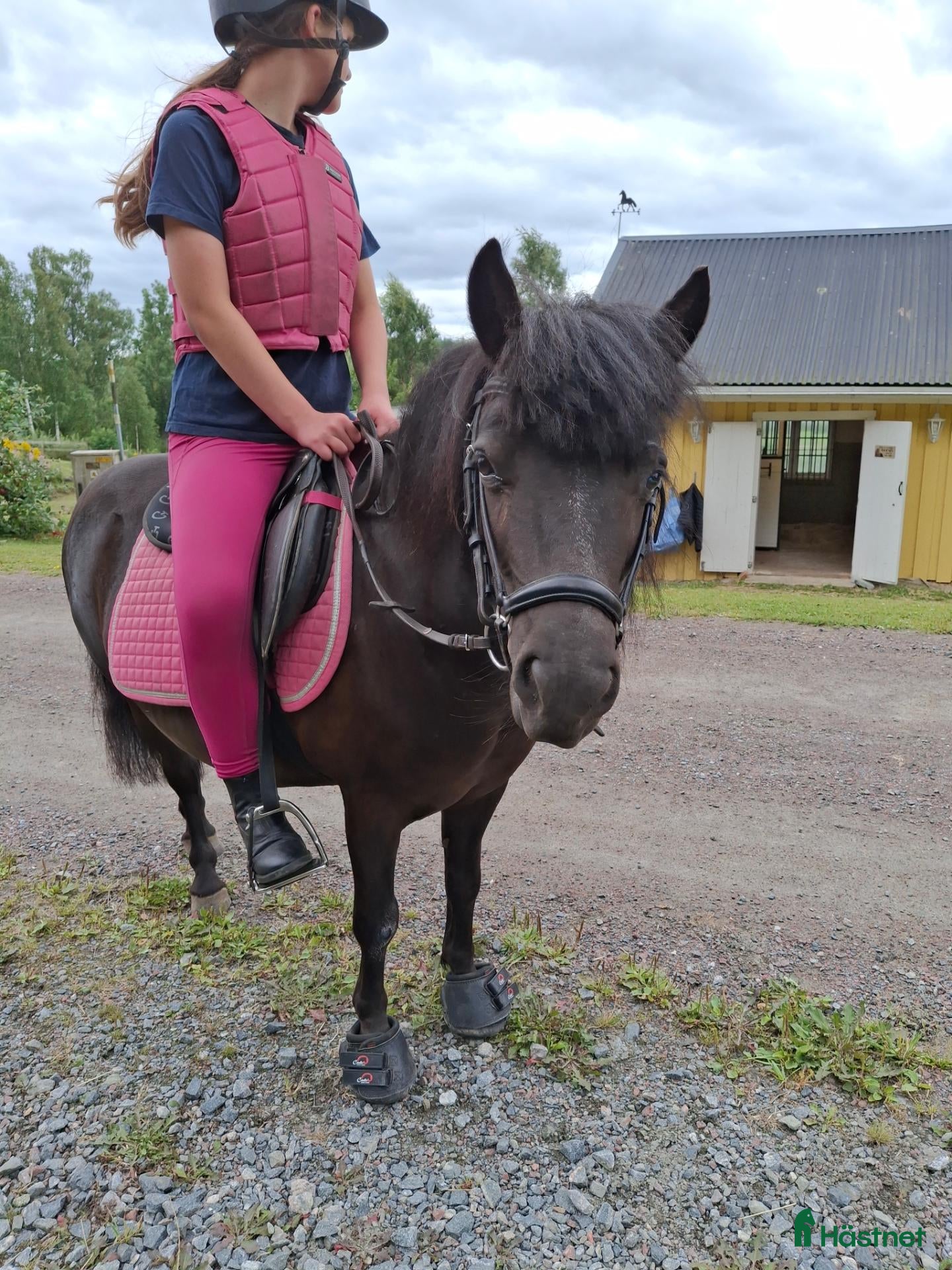  hästar Barnponny - Annons 6