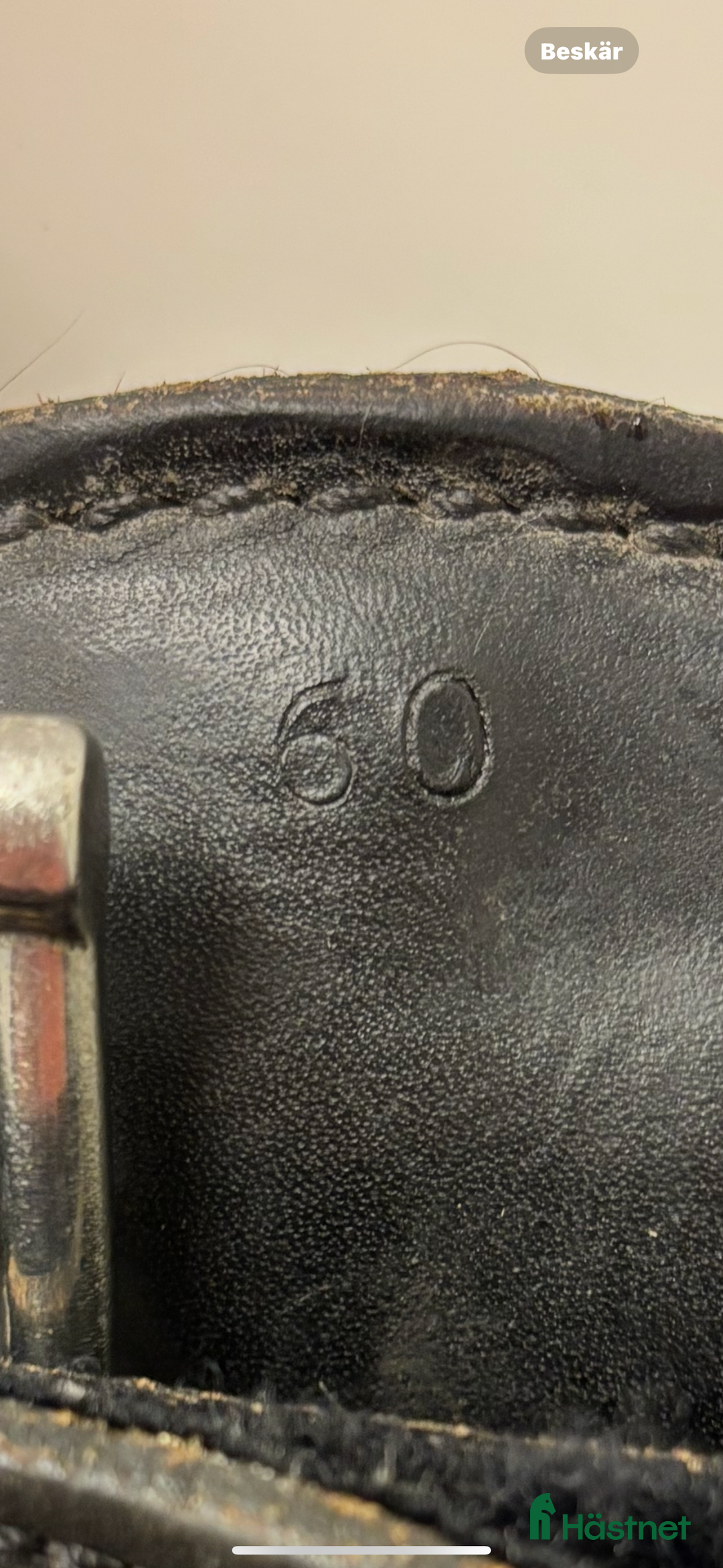 Sadeltillbehör hästutrustning till salu: LTE dressyr i Märsta - Annons 3