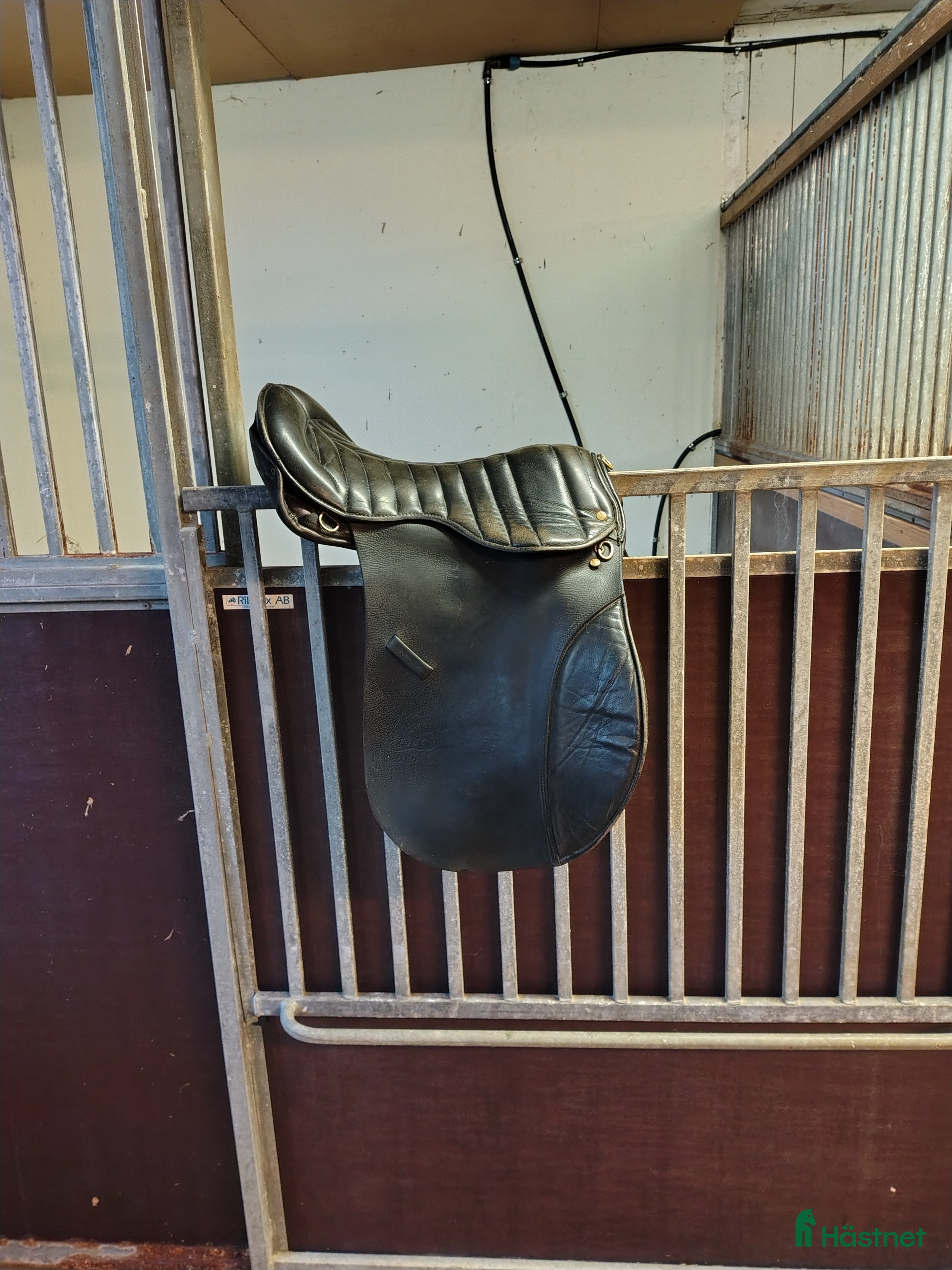 Sadlar hästutrustning till salu: Islands sadel  i Gamleby - Annons 19