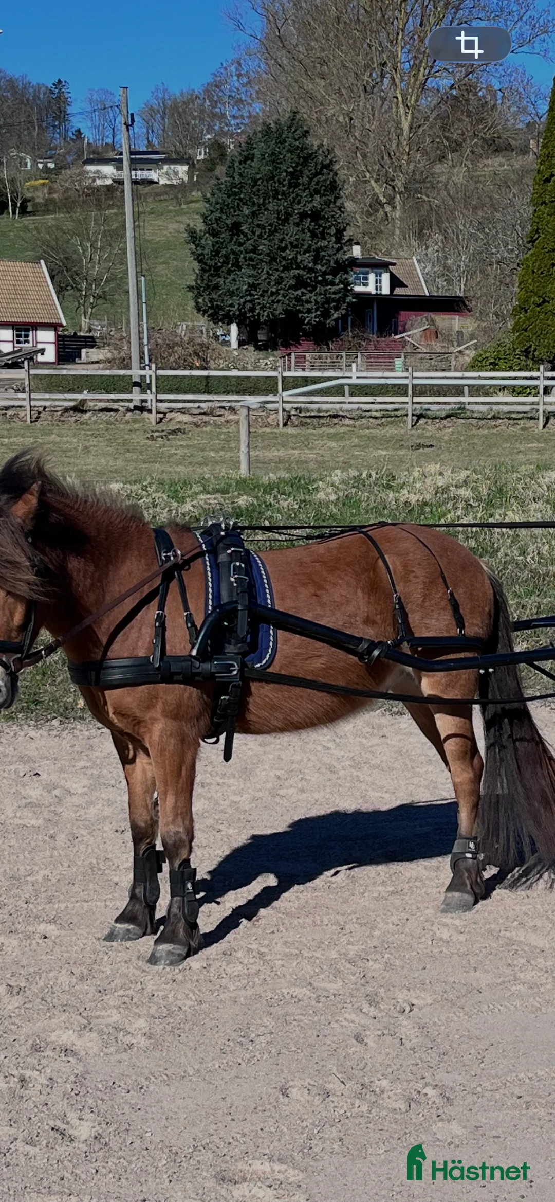 Körselar körning till salu: Drive out duo plus  - Annons 1