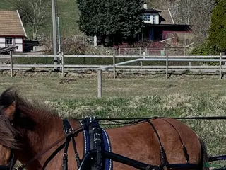 Körselar körning till salu: Drive out duo plus - Annons 10