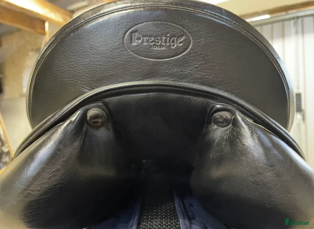 Sadlar hästutrustning till salu: Prestige 16’ - Annons 2