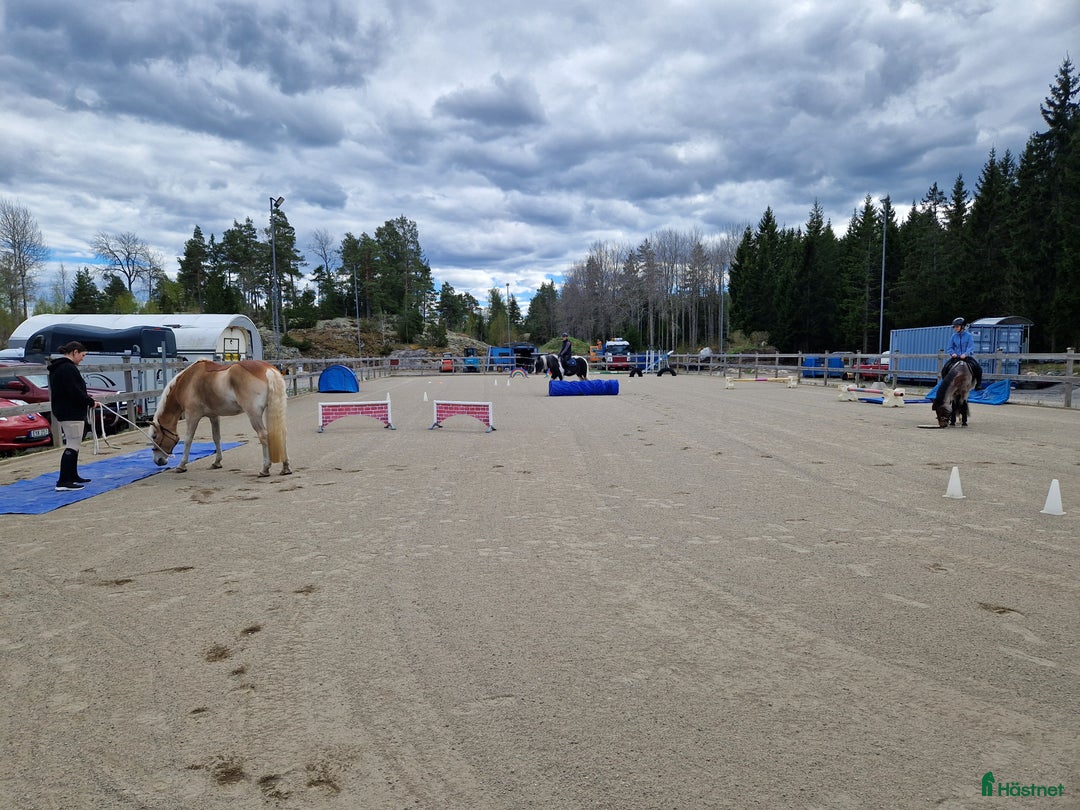  stallplats finnes: Boxplats med lång utevistelse i Åkersberga - Annons 7