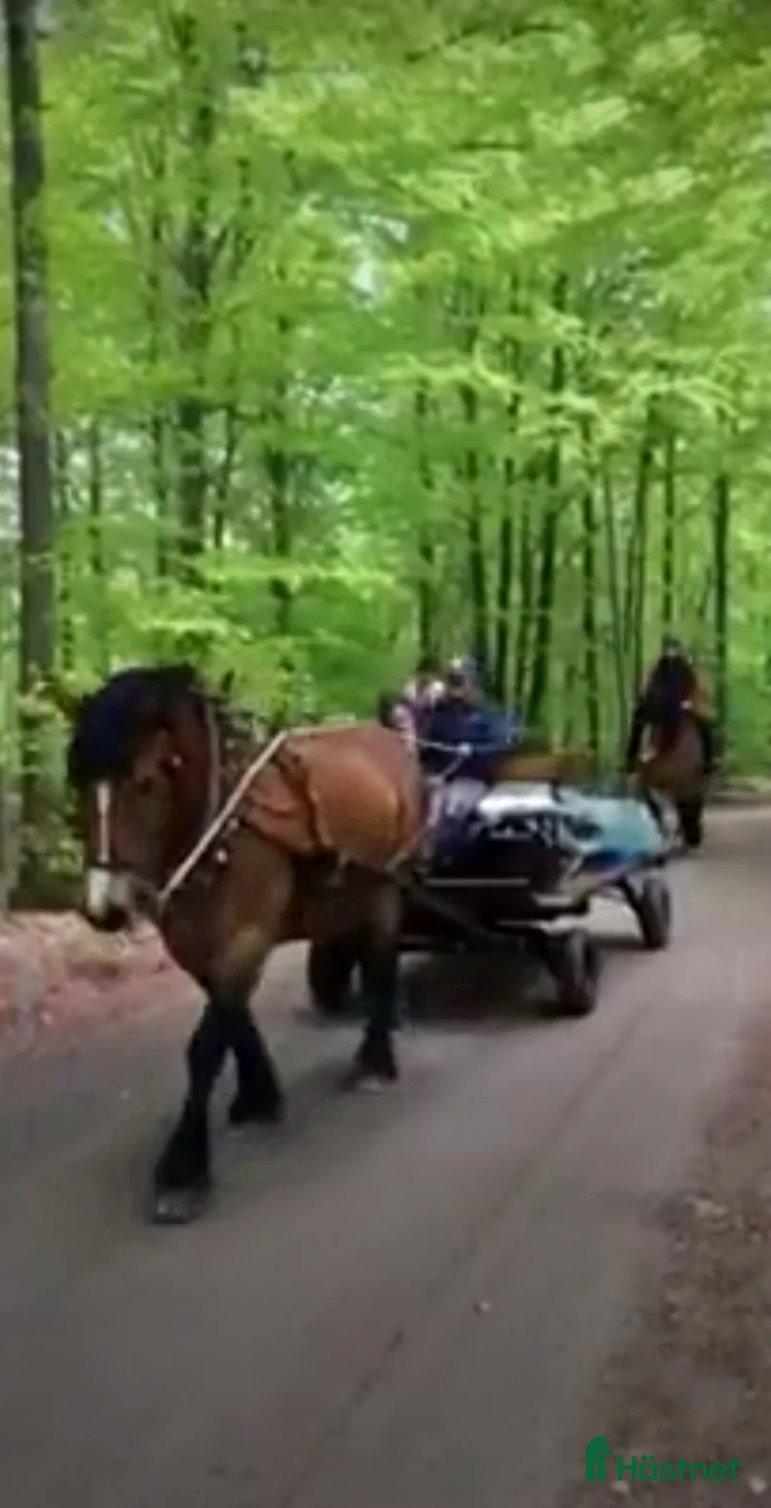 Körvagnar körning till salu: Rejäl renoverad hästvagn/trilla - Annons 1