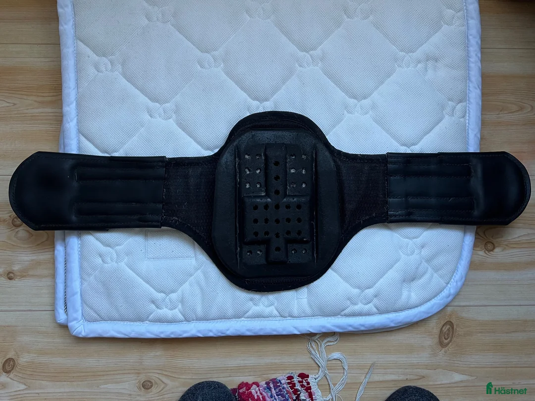 Sadeltillbehör hästutrustning till salu: ELT dressyrgjord 65 cm - Annons 2