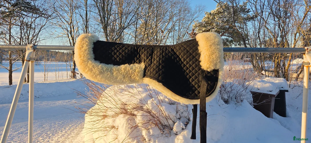 Schabrak & Vojlockar hästutrustning till salu: Fårskinnspadd strl full i Hudiksvall - Annons 2