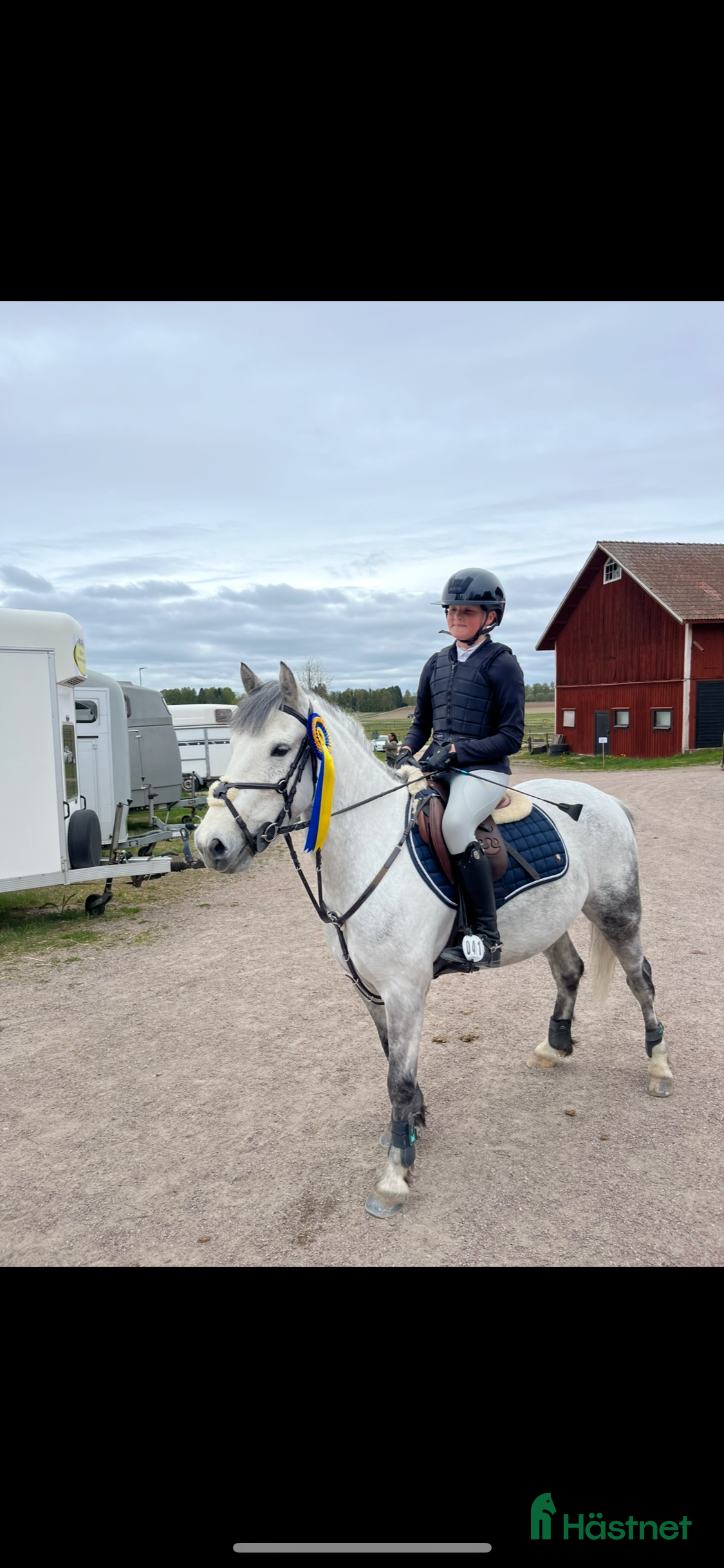  hästar Världens bästa kompis i Hedemora - Annons 8