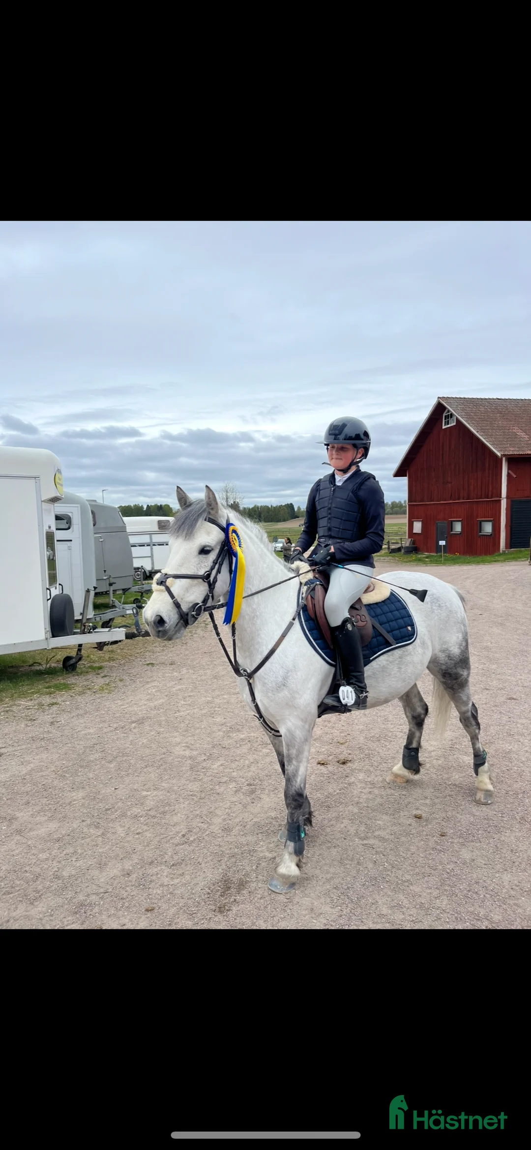 Allround hästar till salu: Världens bästa kompis i Hedemora - Annons 1