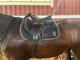 Sadlar hästutrustning till salu: Erreplus jf i gott skick i Stockholm - Annons 7