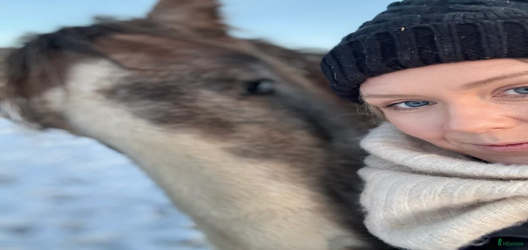 Galleribild {{count}}