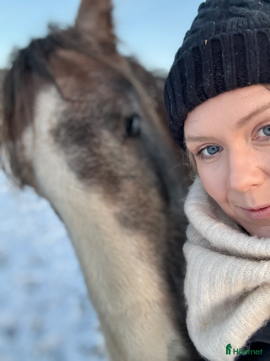 Galleribild {{count}}