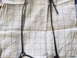 Islandshästutrustning övrig utrustning till salu: SÅLD - Svart smal låg nosgrimma cob i Söråker - Annons 10