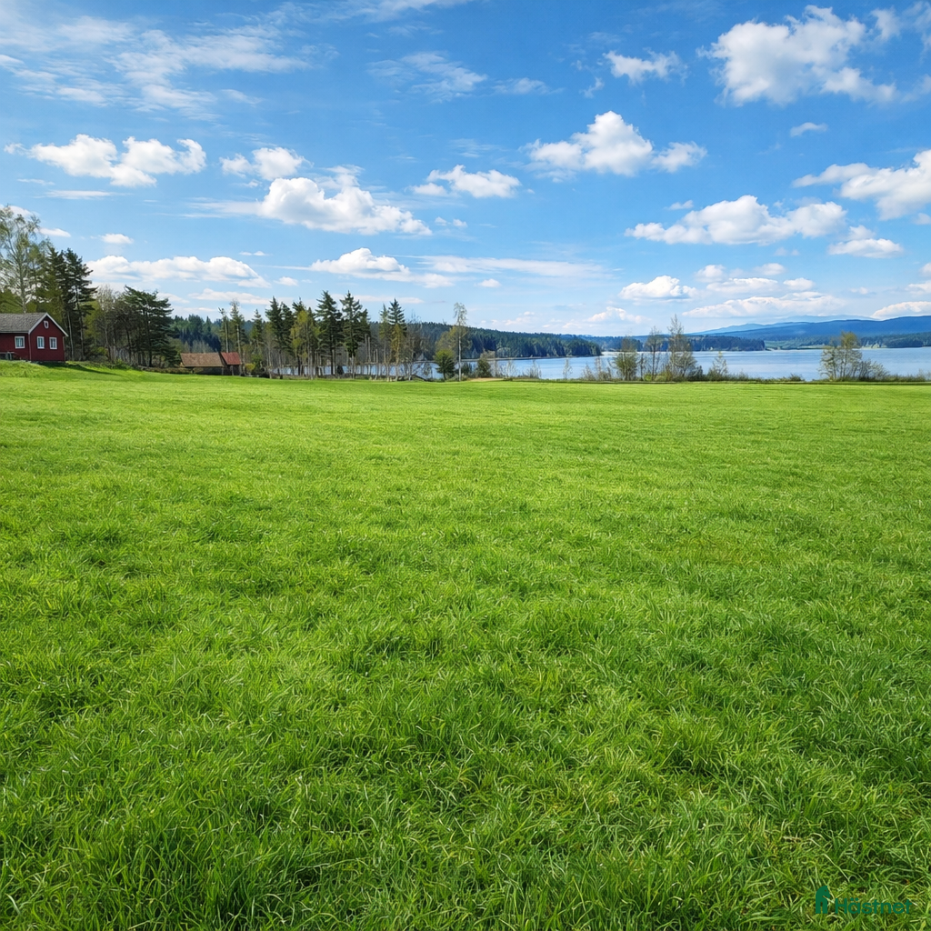  hästservice Sommarbete i Sunnansjö. - Annons 5