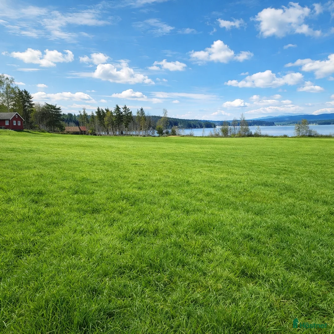  hästservice finnes: Sommarbete i Sunnansjö. i Sunnansjö - Annons 1