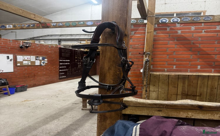 Träns hästutrustning till salu i Uppsala - Annons 9