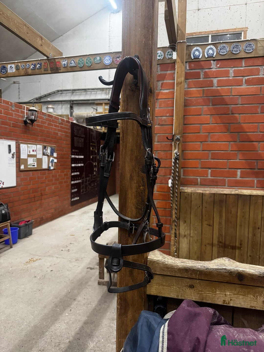 Träns hästutrustning till salu: Oanvänt Dyon träns säljes! i Uppsala - Annons 1