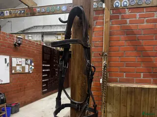 Träns hästutrustning Oanvänt Dyon träns säljes! i Uppsala - Annons 1