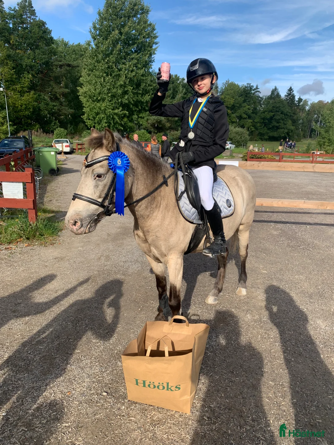 Allround hästar till salu: Unik Bästa Vän  - Annons 2