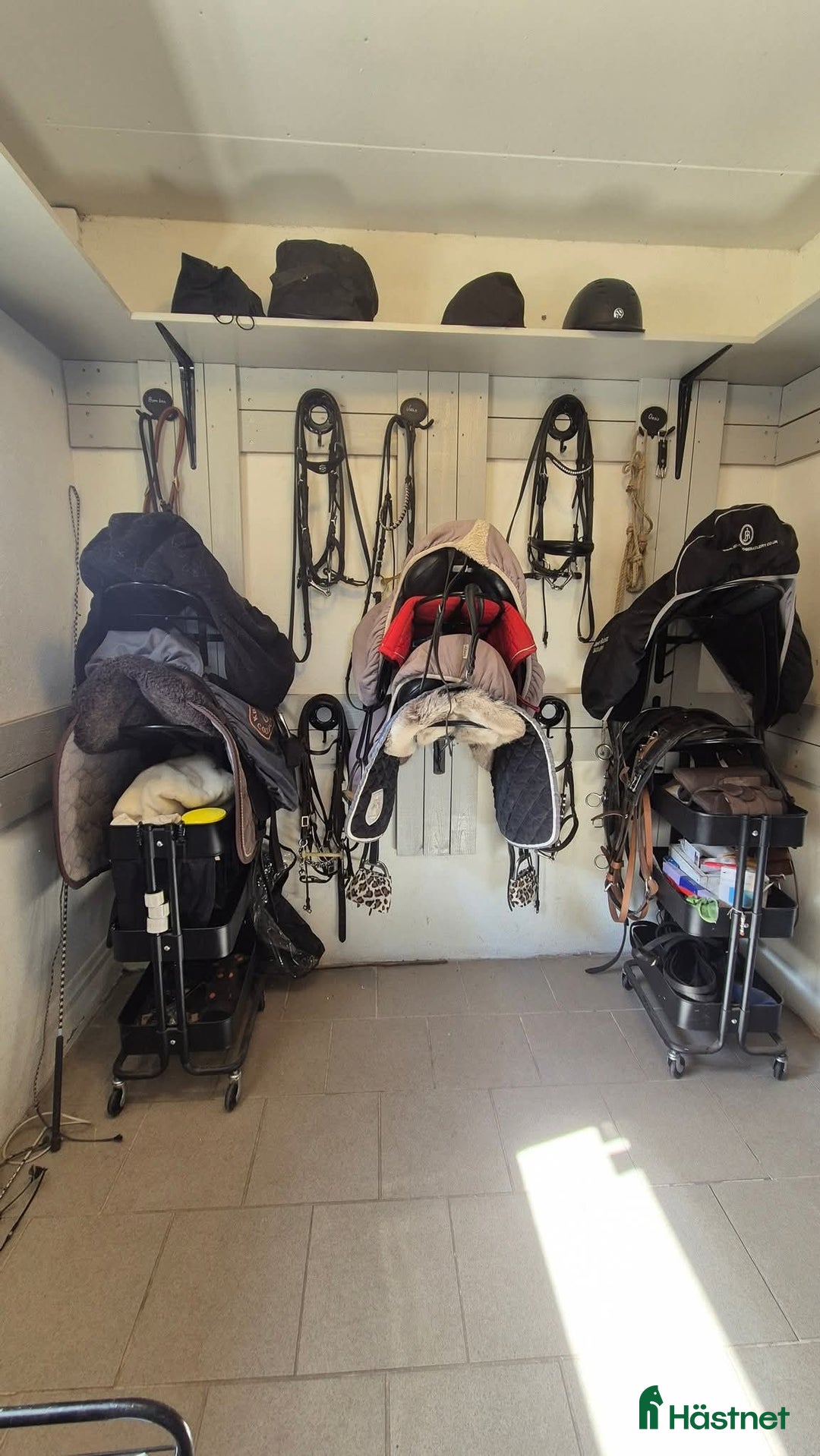  stallplats finnes: Active stable Haninge södra Stockholm  i Österhaninge - Annons 6