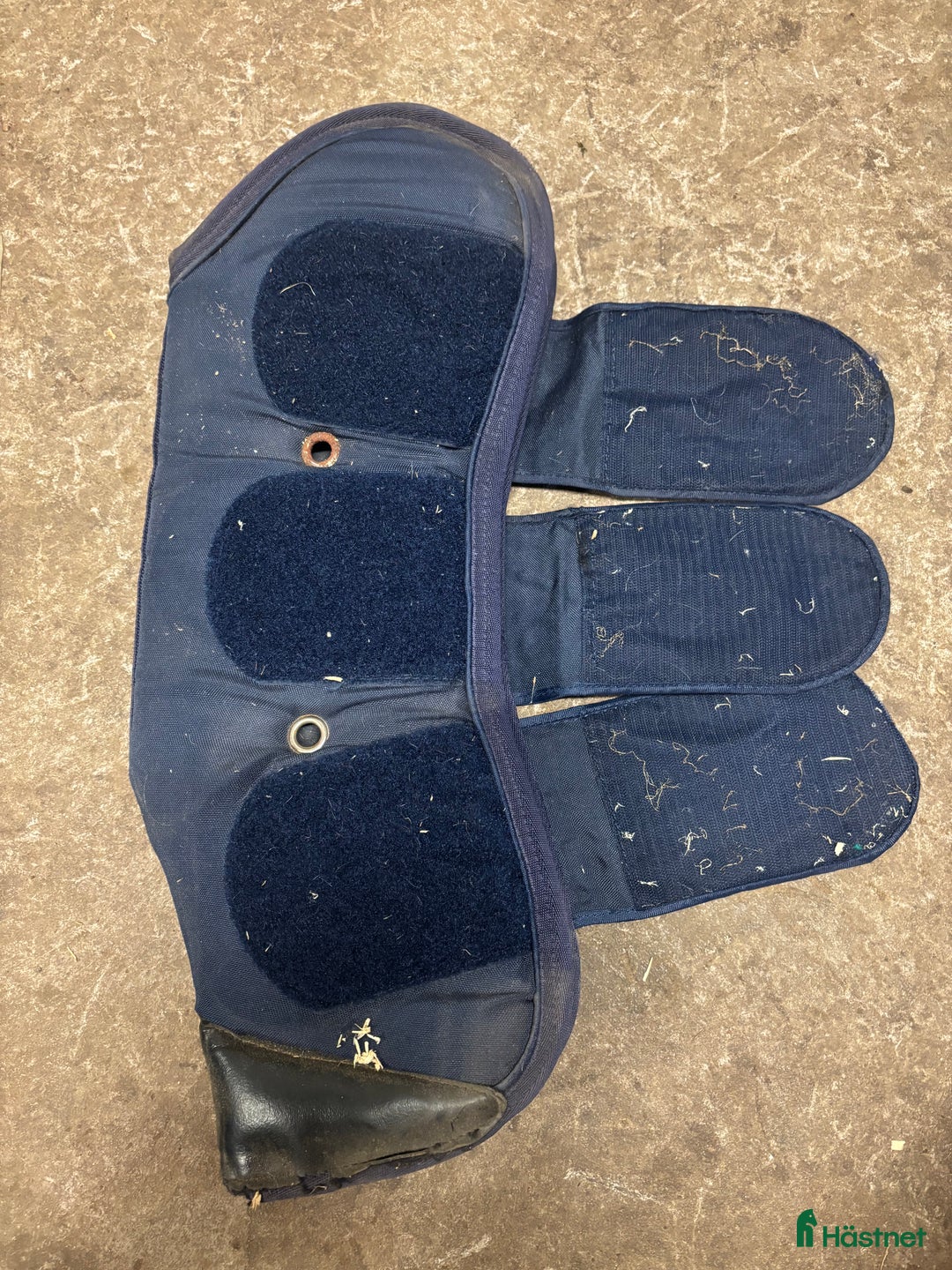 Benskydd hästutrustning till salu: Kingsland transportskydd  i Vinninga - Annons 9