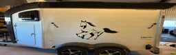 Hästtransporter  fordon & transport till salu: Humbaur Areion Shape DEMO - Annons 3