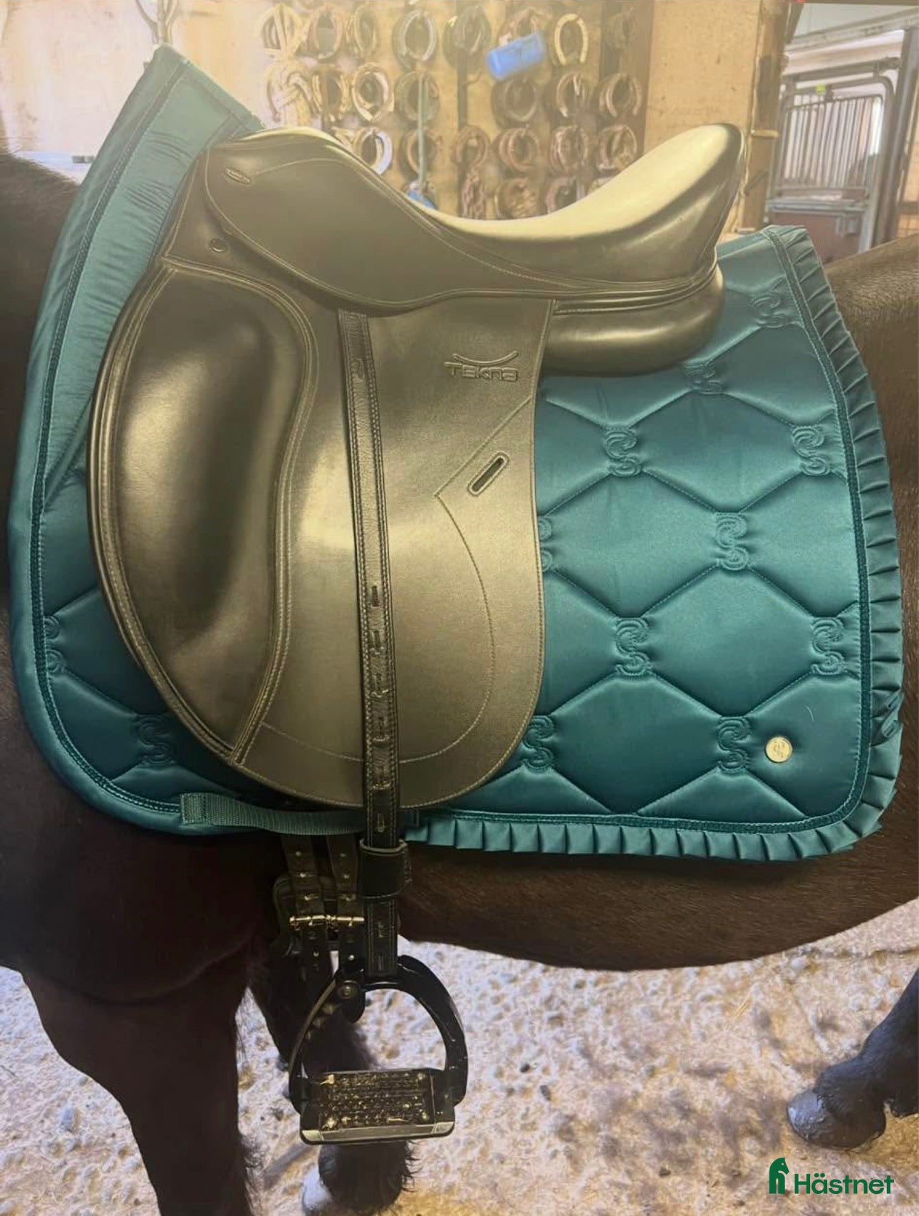 Sadlar hästutrustning Tekna S-line dressyrsadel - Annons 1