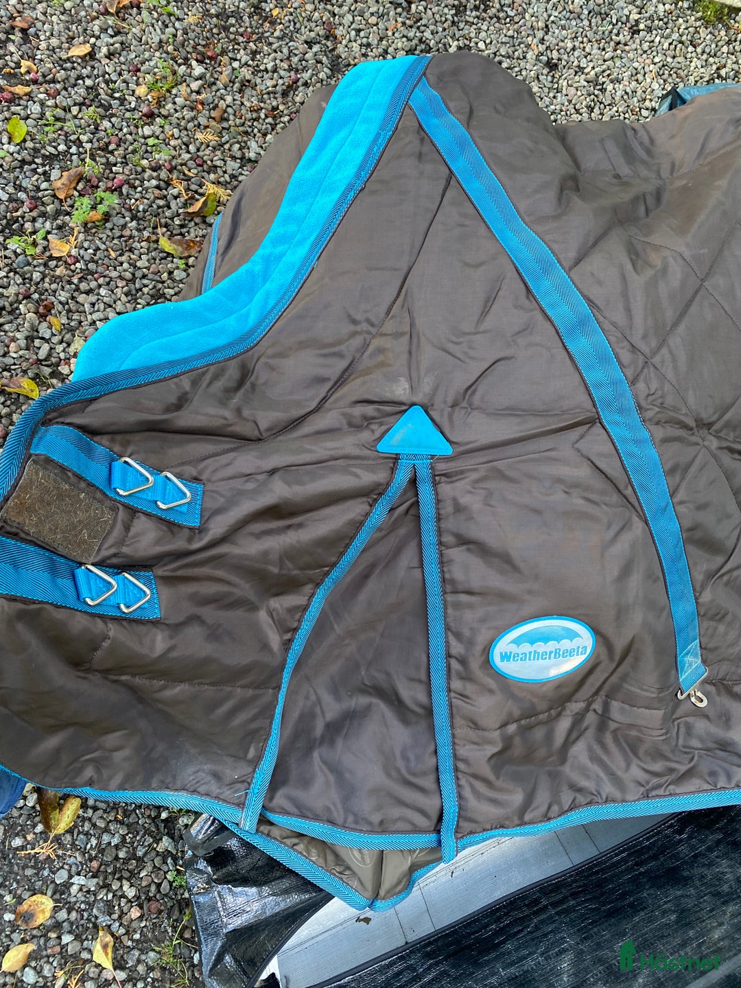 Täcken hästutrustning till salu: Weatherbeta 155cm stalltäcke i Skå - Annons 1