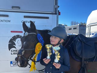 hästar Fantastisk Mästerskaps ponny i Katrineholm - Annons 15