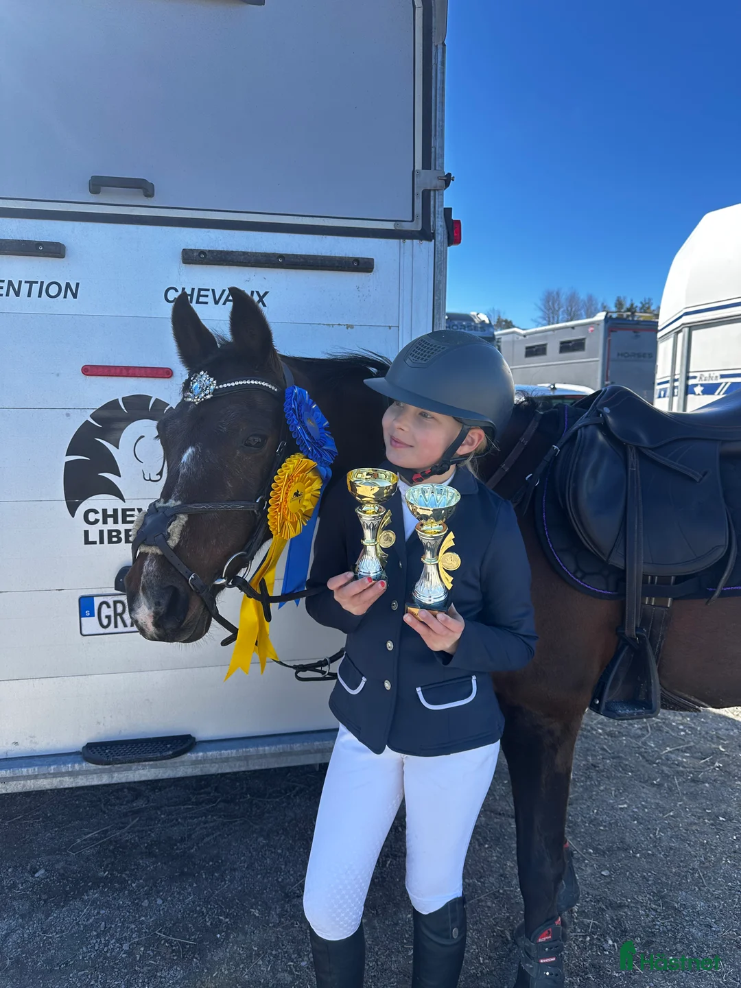 Hoppning hästar till salu: Fantastisk Mästerskaps ponny  i Katrineholm - Annons 1