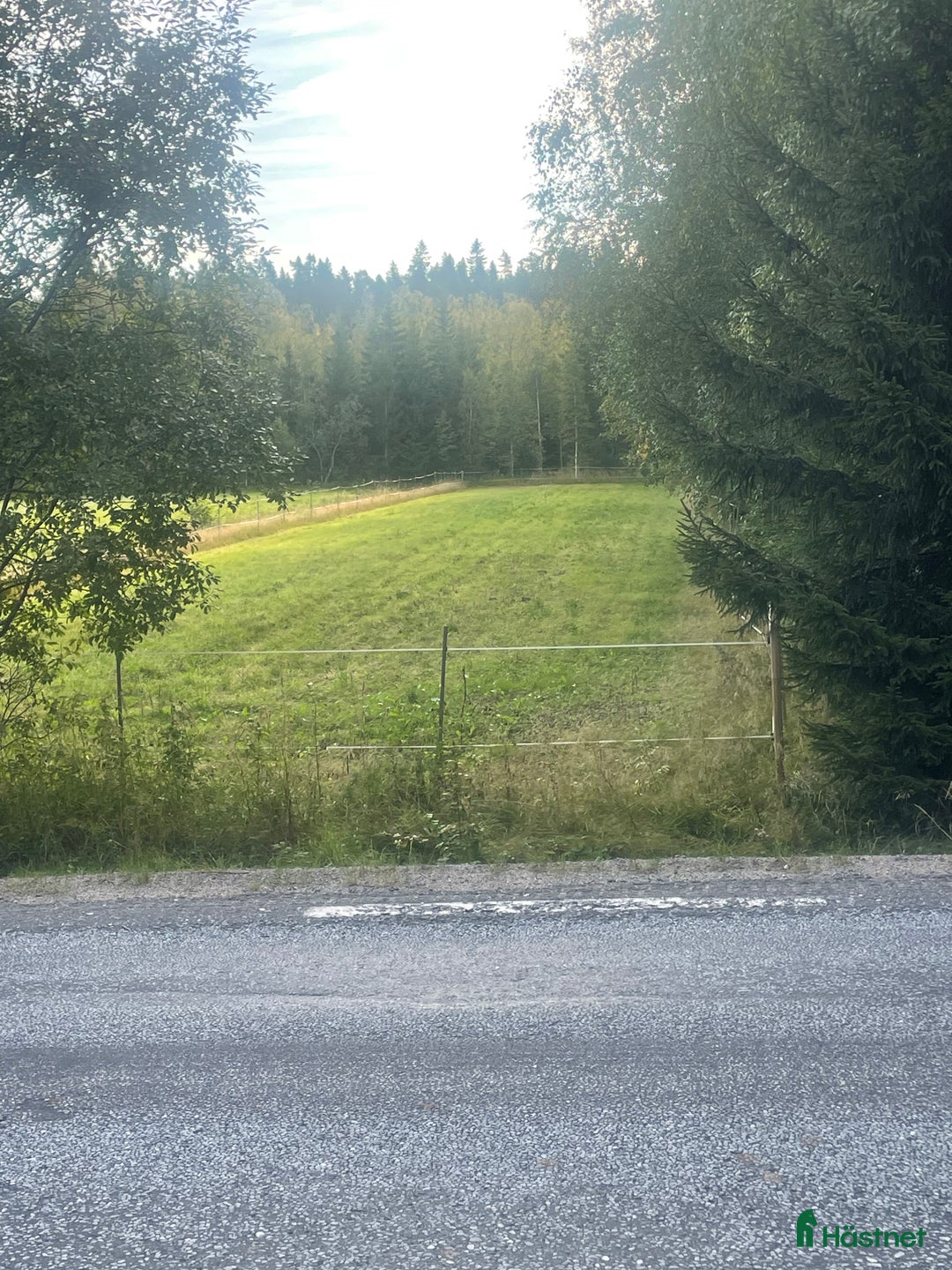  stallplats finnes: Lösdriftsplats med box i Ström i Umeå - Annons 6