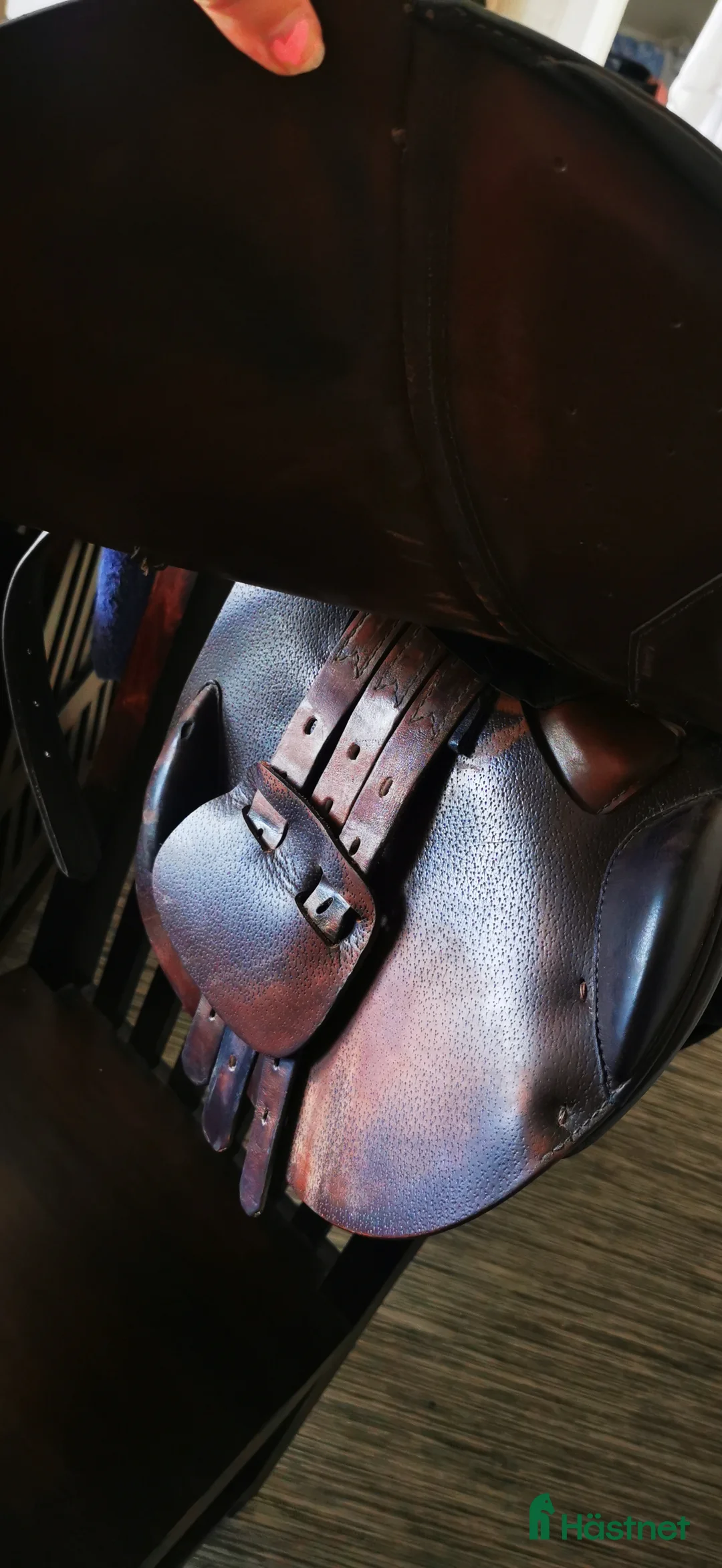 Sadlar hästutrustning till salu: Prestige Michel Robert  i Arvika - Annons 10
