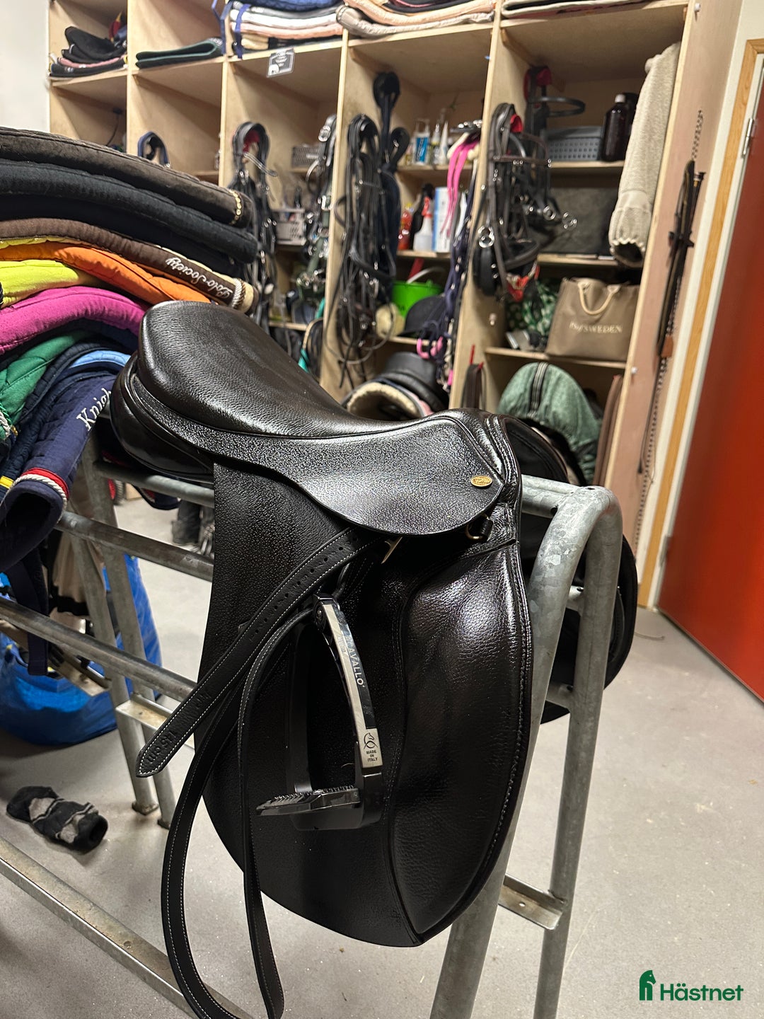 Sadlar hästutrustning till salu: Globus Esperanza i Bengtsfors - Annons 4