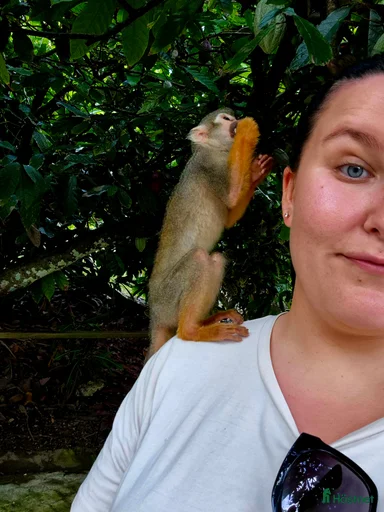 Galleribild {{count}}