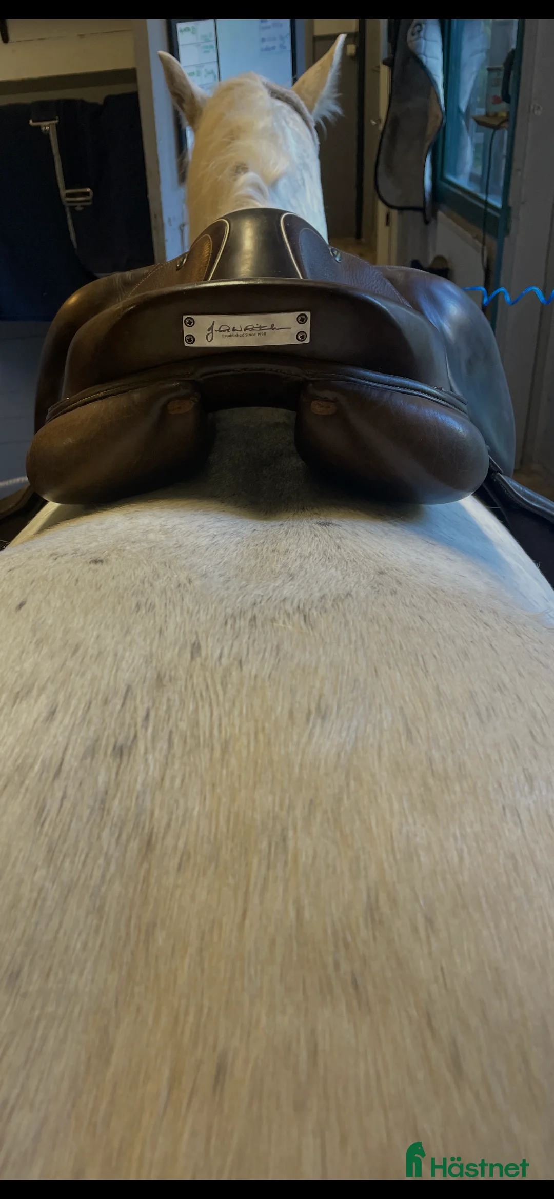 Sadlar hästutrustning till salu: John Whitaker hoppsadel brun medelvid i Sollentuna - Annons 2