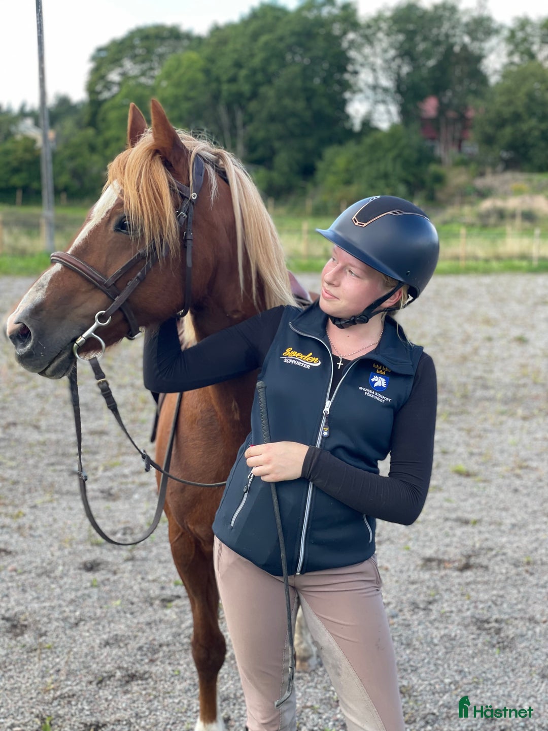 Allround hästar sökes: HÄST ATT RIDA TILL/FÖRMEDLA FÖR FÖRSÄLJNING SÖKES i Knivsta - Annons 1