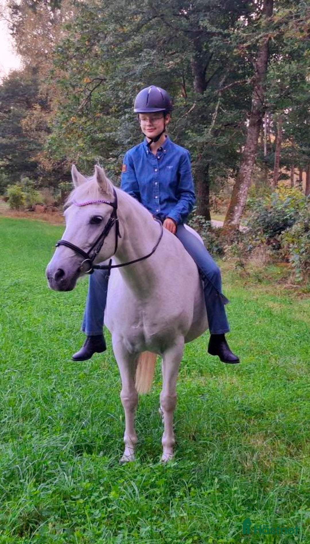 Galleribild {{count}}