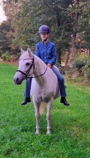 Galleribild {{count}}