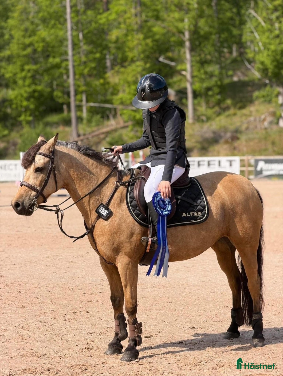  hästar Hoppglad, pigg, mysig cponny - Annons 1