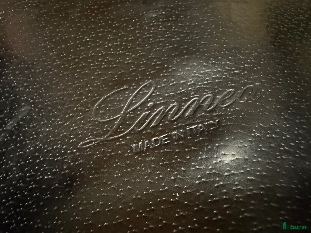 Sadlar hästutrustning till salu: Equipe expression 17 tum svart +2+2 i Frösön - Annons 3