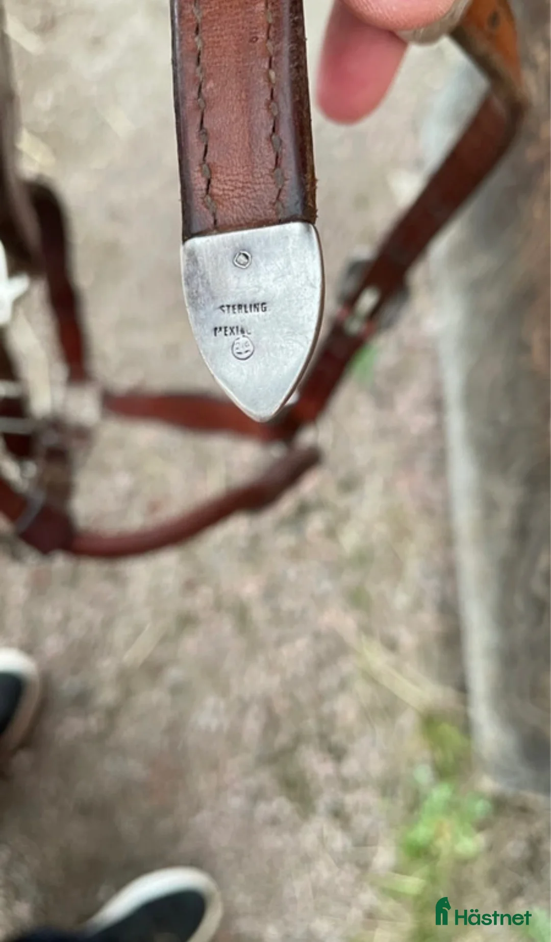 Övrig Hästutrustning hästutrustning till salu: Haltergrimma Showgrimma i Karlstad - Annons 11